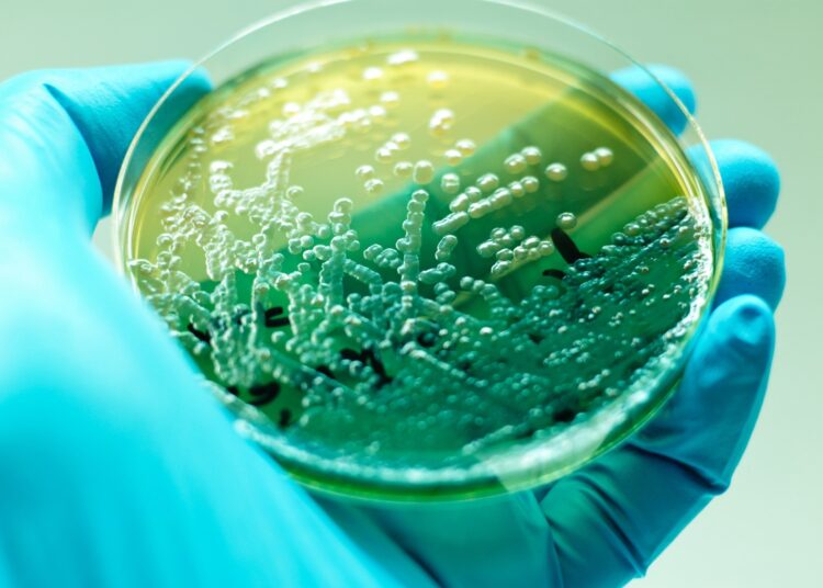 Study: Prospects and possibilities of using Raman spectroscopy for the identification of Pseudomonas aeruginosa from turtle Emys orbicularis (Linnaeus, 1758) skin. Image Credit: Jun MT / Shutterstock