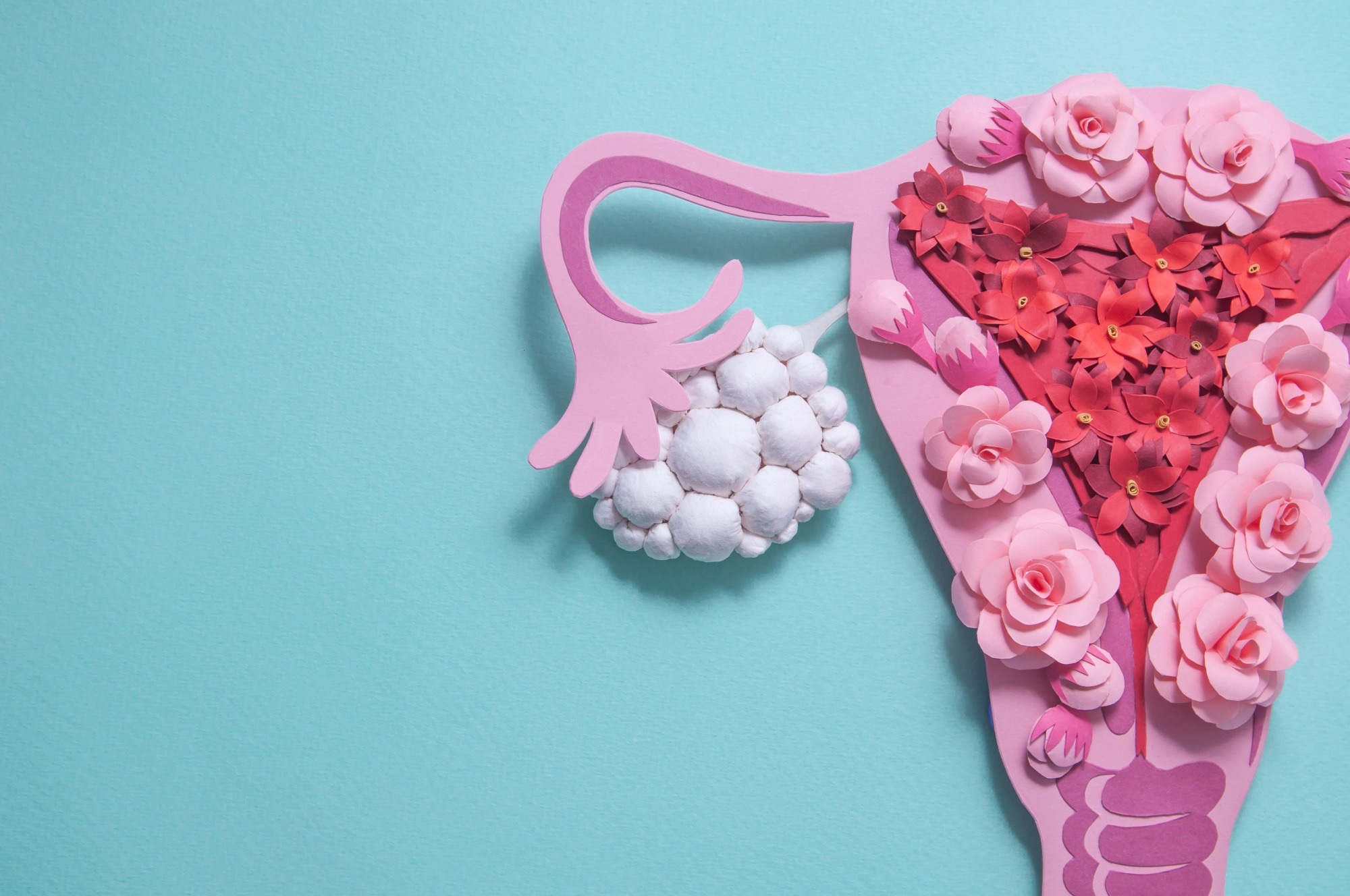 Study: Change of the vaginal microbiome with oral contraceptive therapy in women with polycystic ovary syndrome: a 6-month longitudinal cohort study. Image Credit: Alena Menshikova/Shutterstock.com