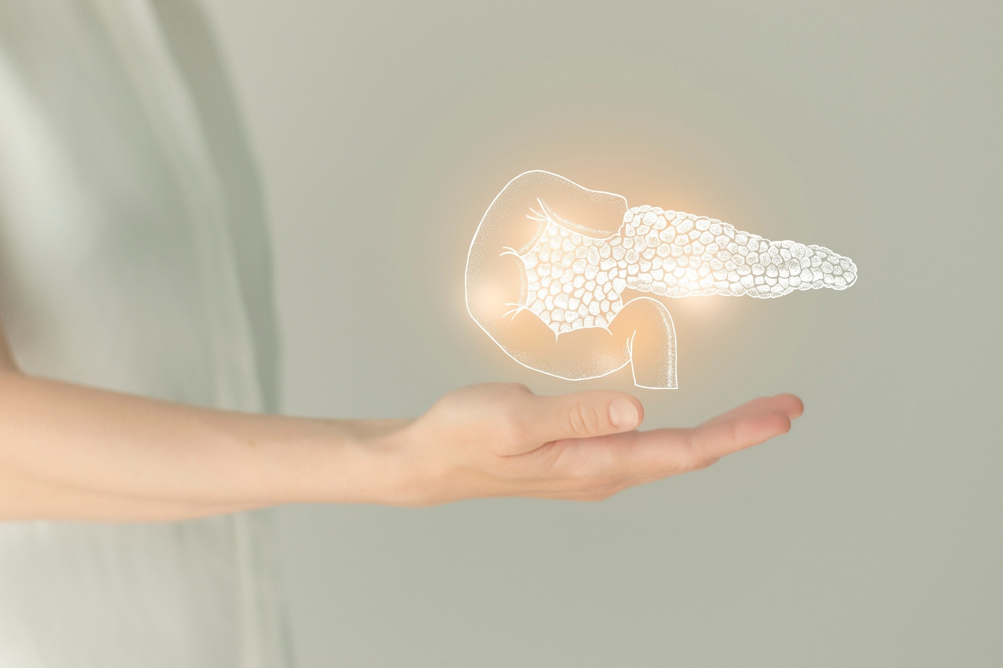 Illustration of a pancreas