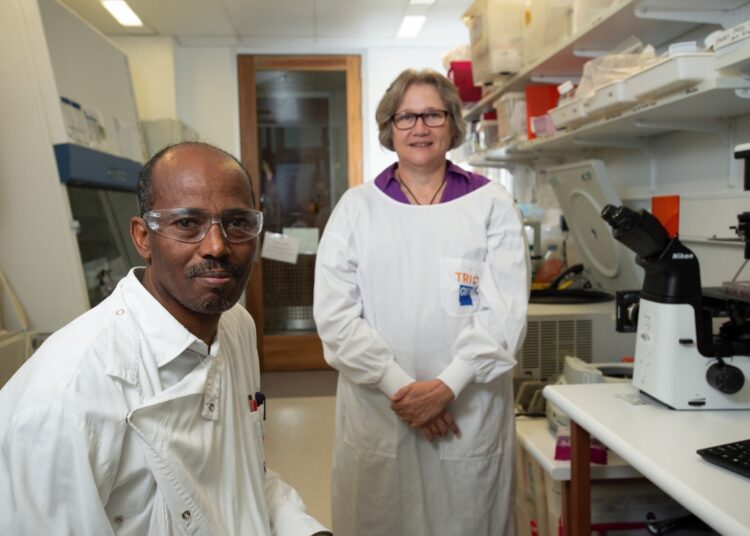 QUT scientists discover promising treatment for fatal endometrial cancer