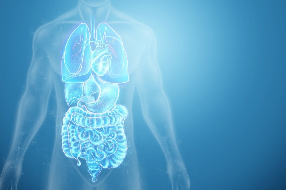 Study: Organ aging signatures in the plasma proteome track health and disease. Image Credit: Marko Aliaksandr/Shutterstock.com