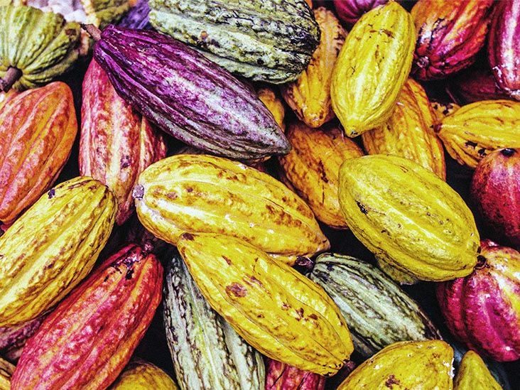 Un supplément d'extrait de cacao s'avère bénéfique pour la cognition chez les personnes âgées