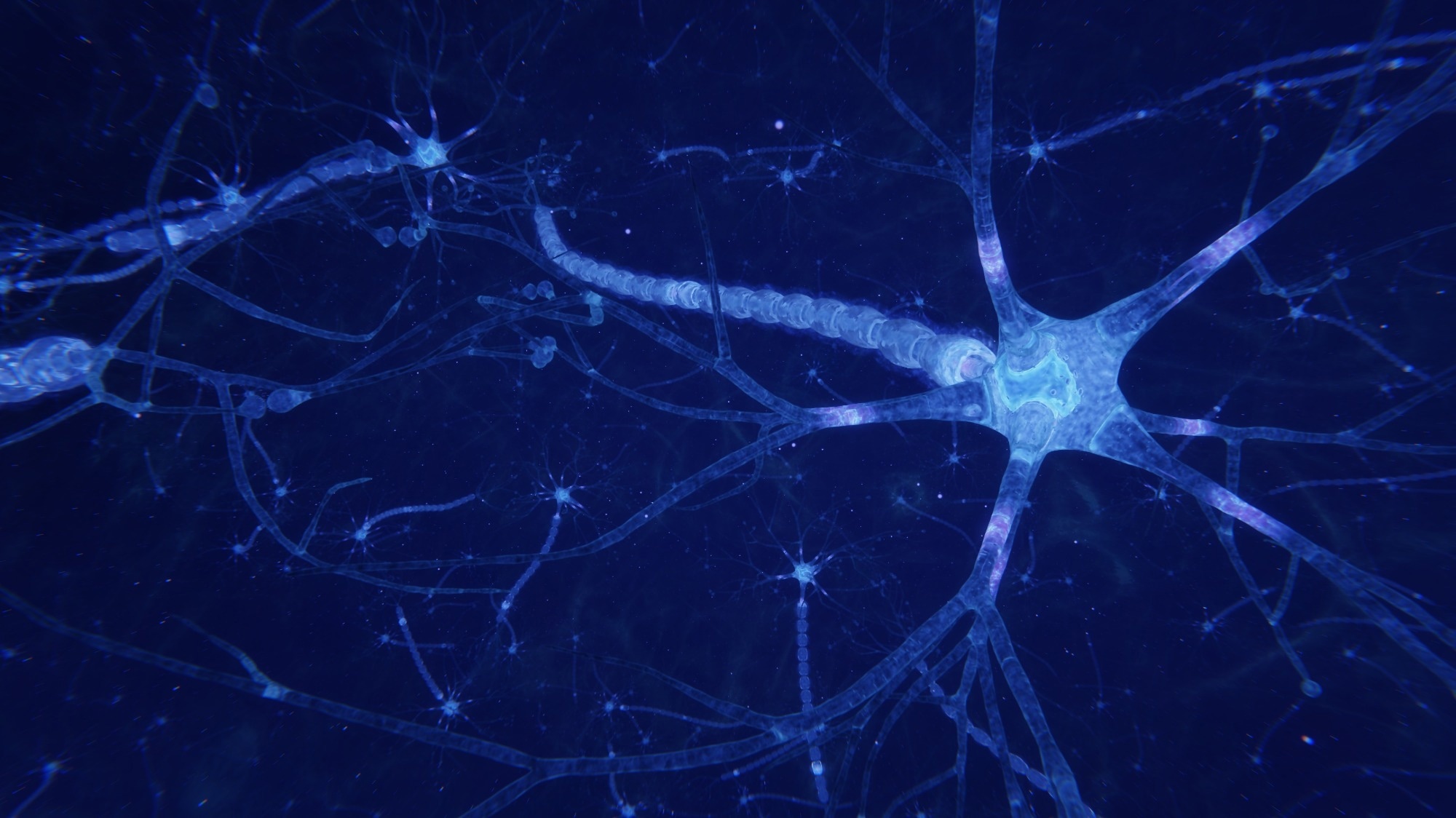 Une étude explore la connexion complexe intestin-cerveau-foie et son impact sur la santé