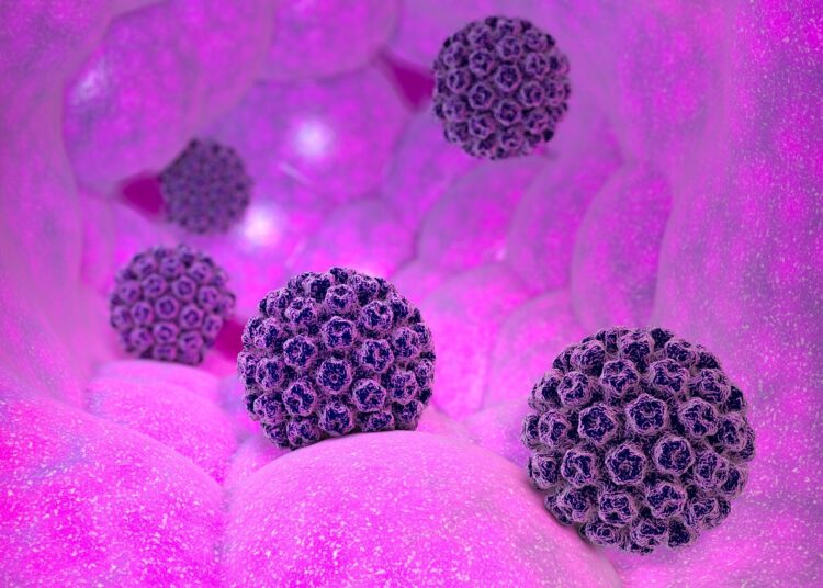 Study: Benefits, harms and cost-effectiveness of cervical screening, triage and treatment strategies for women in the general population. Image Credit: Naeblys/Shutterstock.com