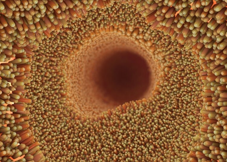 Study: Cytoglobin regulates NO-dependent cilia motility and organ laterality during development. Image Credit: Nathan Devry / Shutterstock.com