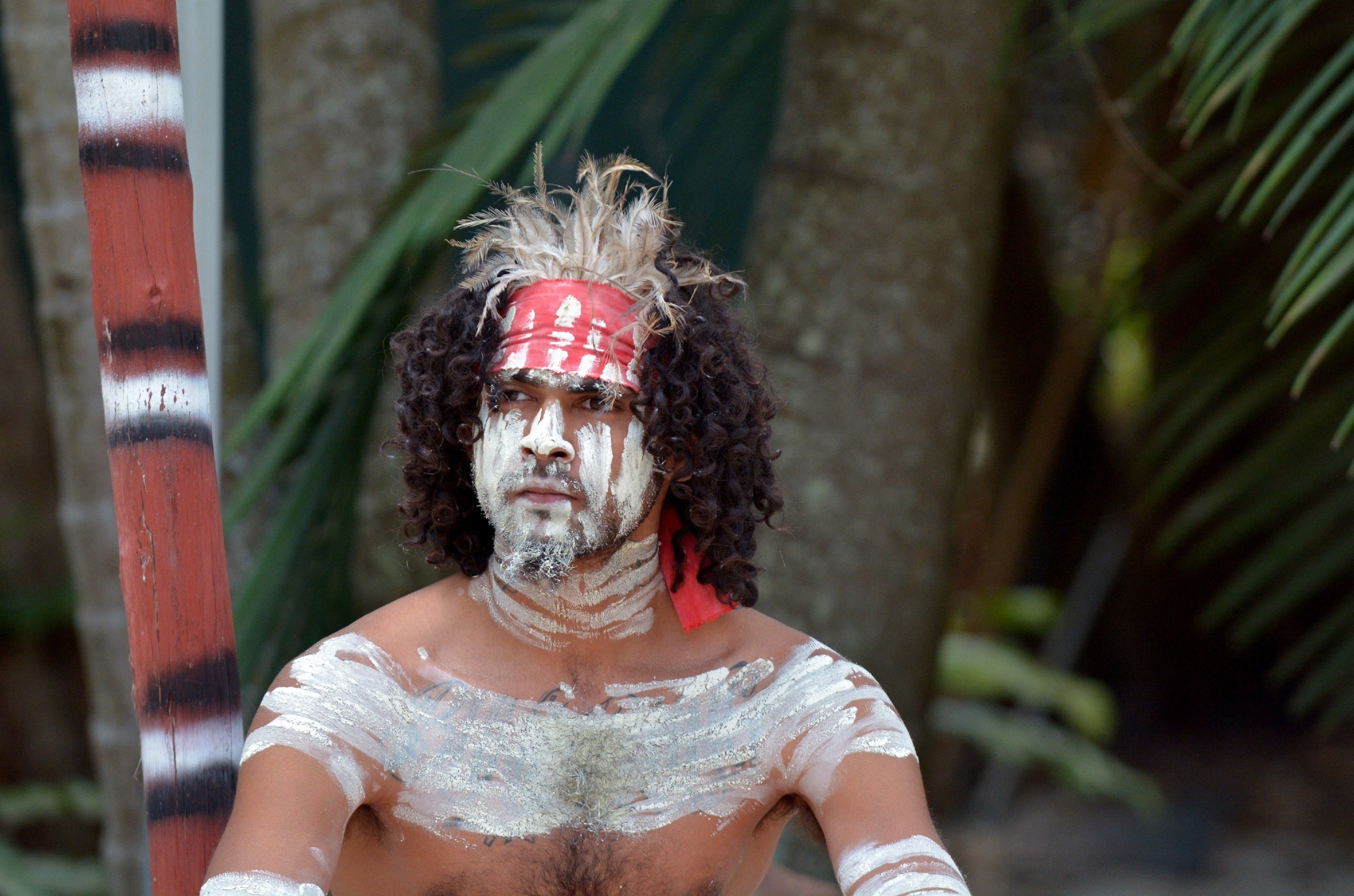 Study: Indigenous Australian genomes show deep structure and rich novel variation. Image Credit: ChameleonsEye / Shutterstock