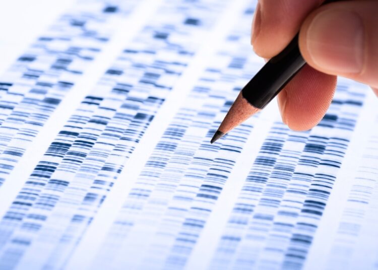Study: The landscape of genomic structural variation in Indigenous Australians. Image Credit: gopixa / Shutterstock