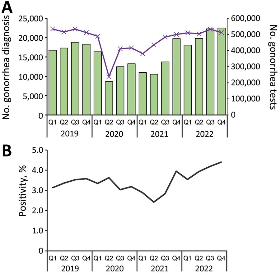 Nombre total de diagnostics et de tests de gonorrhée et pourcentage de tests positifs dans l'étude du rebond de la gonorrhée après la levée des mesures préventives contre le COVID-19 en Angleterre, du 1er janvier 2019 au 31 décembre 2022. A) Nombre total de diagnostics et de tests.  Les barres indiquent le nombre total de diagnostics de gonorrhée ;  la ligne violette indique le nombre total de tests de gonorrhée.  B) Pourcentage de positivité des tests de gonorrhée.  Q, quart.  Les échelles des axes Y diffèrent considérablement pour souligner les modèles mais ne permettent pas de comparaisons directes.