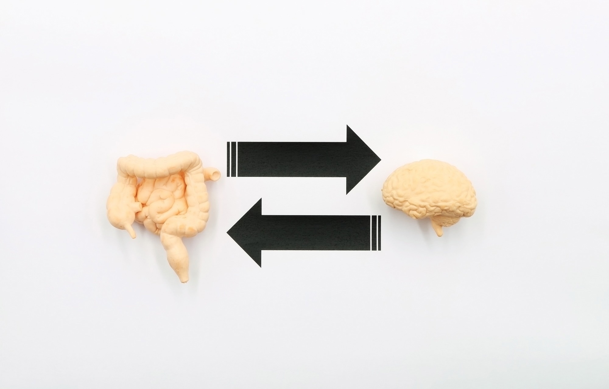 Study: Nutrition and Disorders of Gut–Brain Interaction. Image Credit: TopMicrobialStock/Shutterstock.com