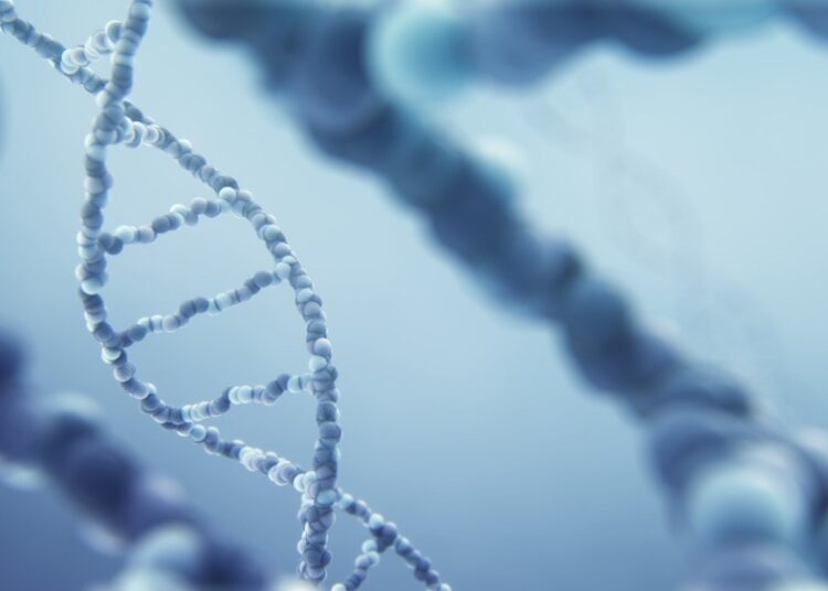 Study: Elevated genetic risk for multiple sclerosis emerged in steppe pastoralist populations. Image Credit: Dorxela/Shutterstock.com