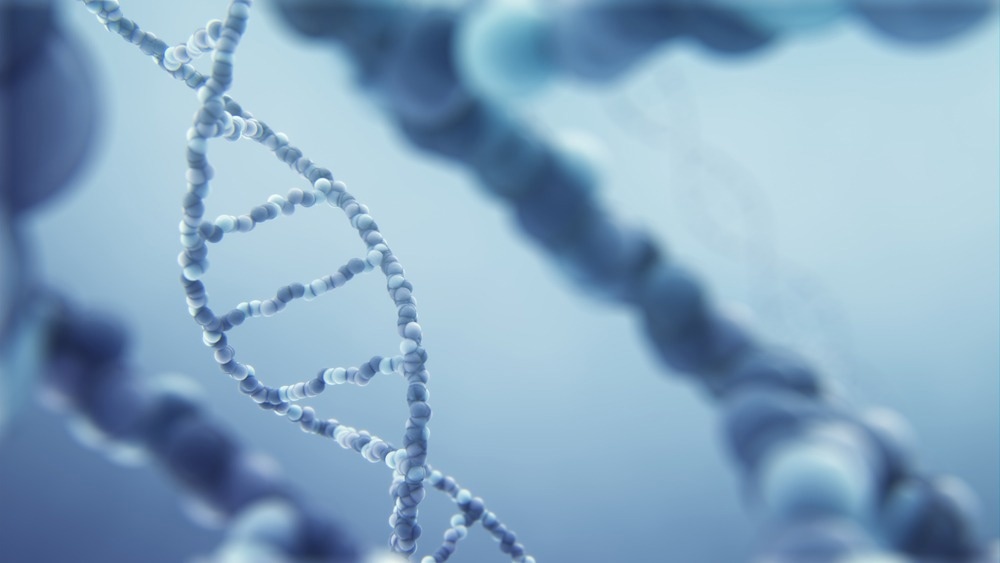Study: Elevated genetic risk for multiple sclerosis emerged in steppe pastoralist populations. Image Credit: Dorxela/Shutterstock.com