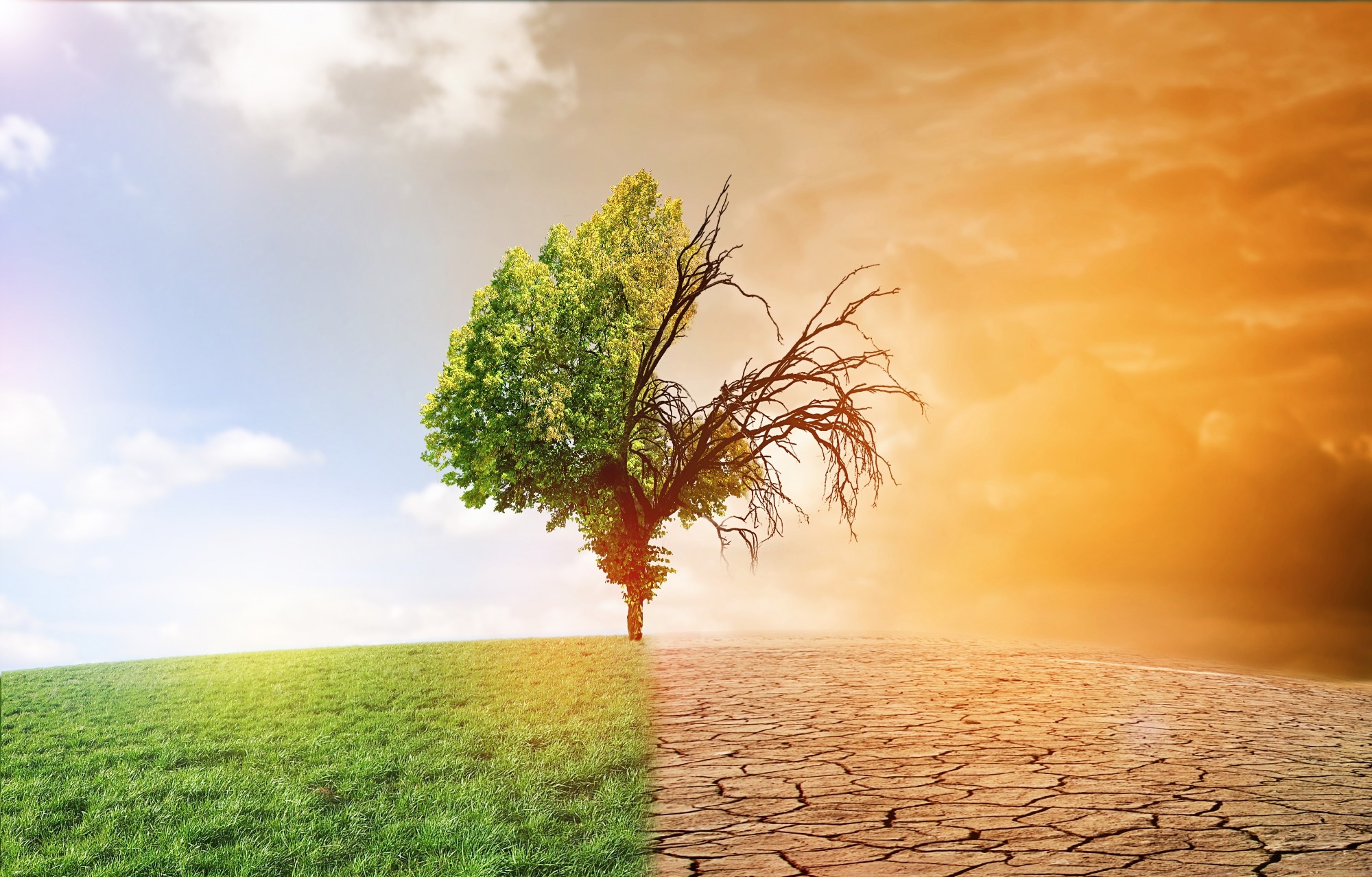 La communauté médicale appelle à une action unifiée face aux crises du climat et de la biodiversité en tant qu’urgence sanitaire mondiale