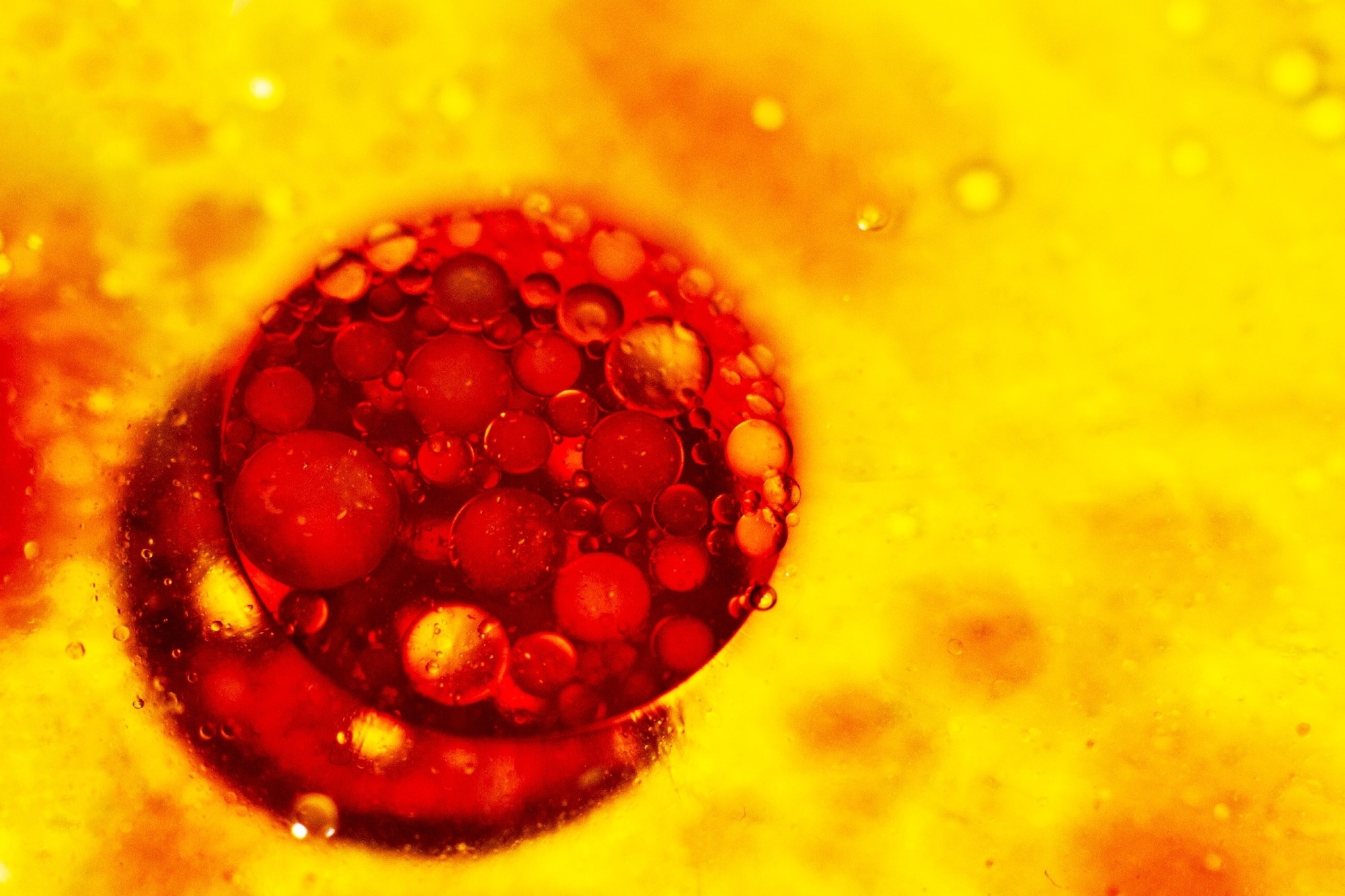 Study: EPAC1 enhances brown fat growth and beige adipogenesis. Image Credit: Maryna Marchenko / Shutterstock.com