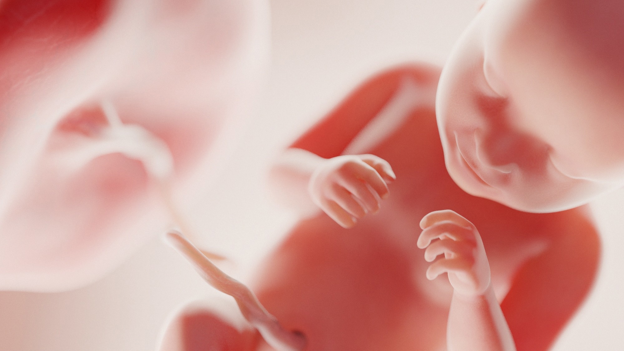 La vaccination maternelle contre le COVID-19 profite également aux bébés prématurés et nés à terme