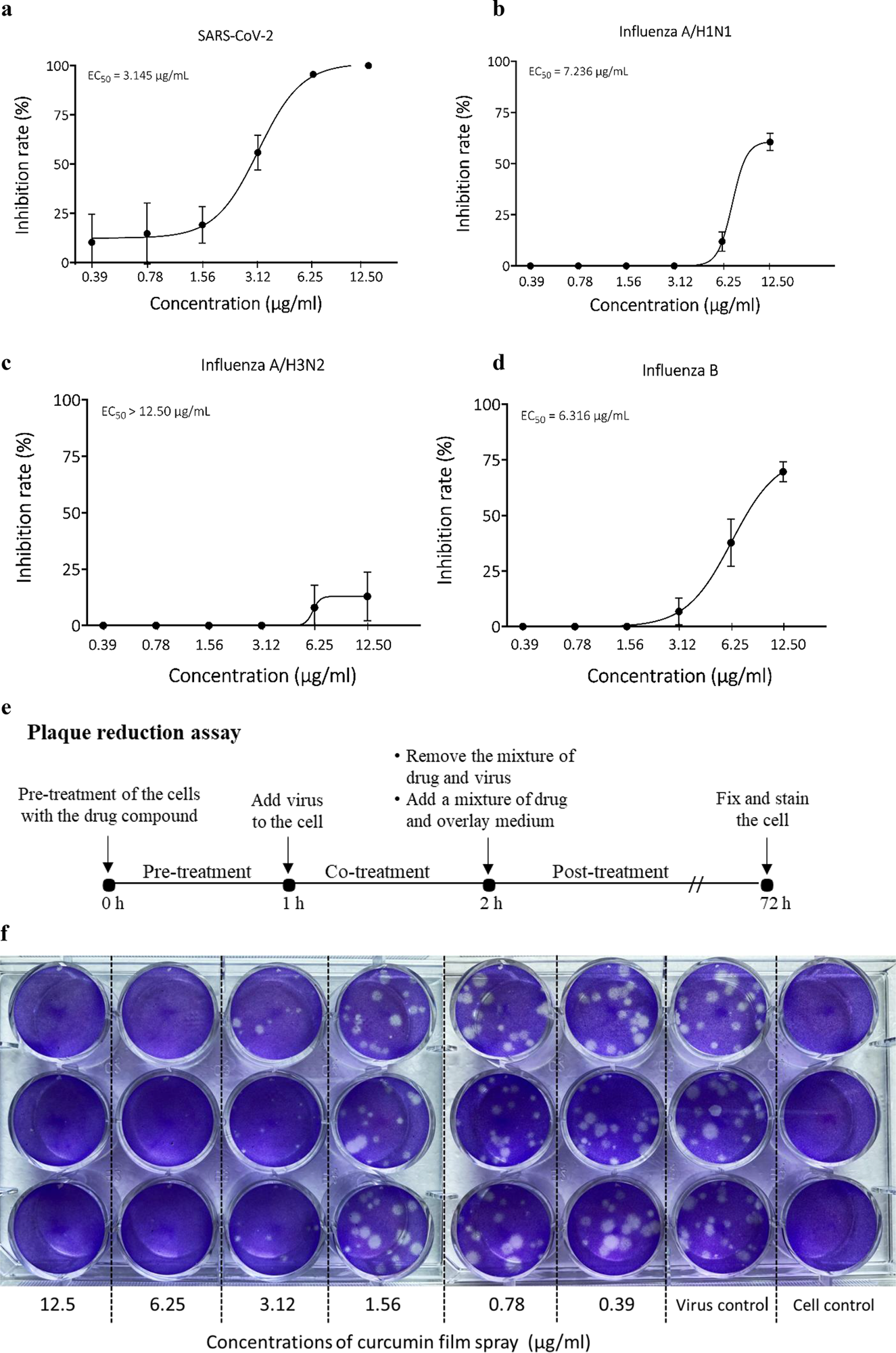 Effet antiviral du spray de film de curcumine contre le SRAS-CoV-2 examiné par test de réduction de la plaque.  Courbe dose-réponse de l'activité antivirale du film de curcumine pulvérisé contre ;  (a) SRAS-CoV-2, (b) grippe A/H1N1, (c) grippe A/H3N2 et (d) virus de la grippe B, (e) Schéma de dépistage de l'activité antivirale par test de réduction de plaque, (f) Photo d'une expérience de test de réduction de plaque.  Chaque concentration du film pulvérisé a été réalisée dans des puits en triple