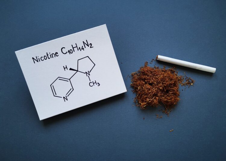 Study: Gut microbial metabolites reveal diet-dependent metabolic changes induced by nicotine administration. Image Credit: Danijela Maksimovic/Shutterstock.com