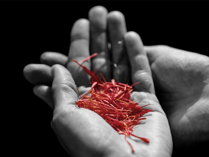 A hand holding pieces of saffron