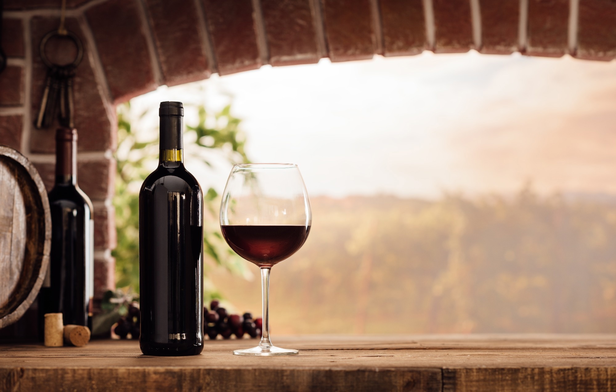 Quel est l’impact de la géographie et du climat sur la qualité du vin et ses bienfaits pour la santé ?