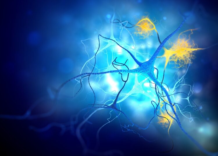Study: Blood pressure variability supersedes heart rate variability as a real-world measure of dementia risk. Image Credit: Andrii Vodolazhskyi / Shutterstock