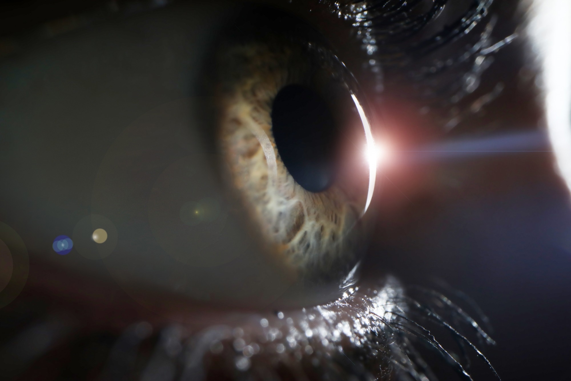 Study: Accurate estimation of biological age and its application in disease prediction using a multimodal image Transformer system. Image Credit: H_Ko / Shutterstock