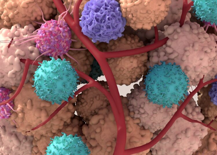 Study: Splicing neoantigen discovery with SNAF reveals shared targets for cancer immunotherapy. Image Credit: Design_Cells / Shutterstock.com