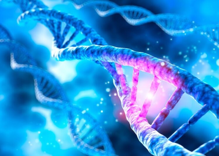 Study: A naturally occurring variant of SHLP2 is a protective factor in Parkinson’s disease. Image Credit: peterschreiber.media/Shutterstock.com