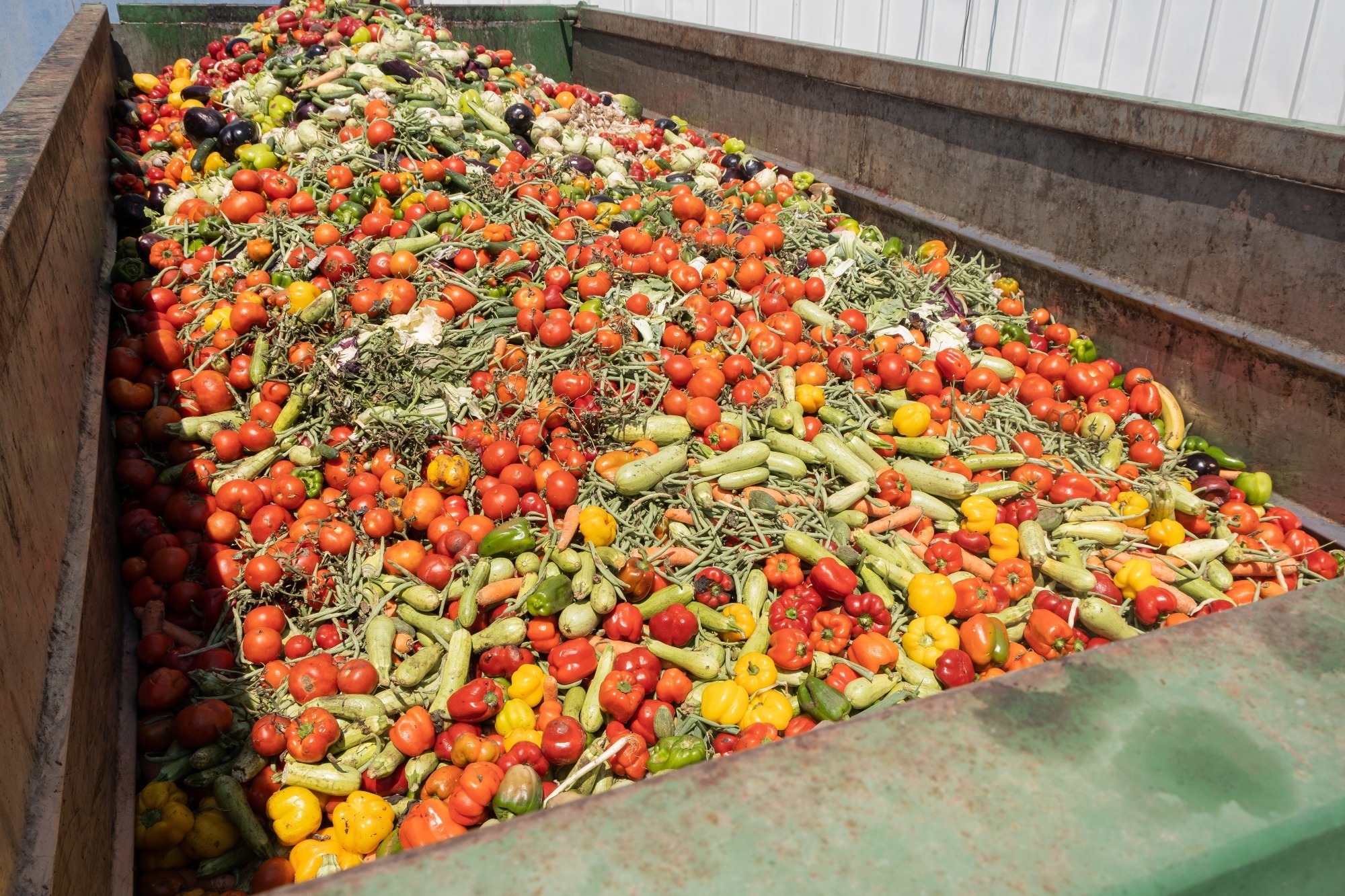 Study: Global food loss and waste estimates show increasing nutritional and environmental pressures. Image Credit: ArieStudio / Shutterstock