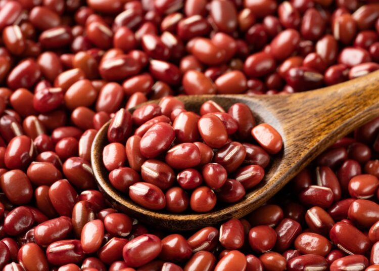 Study: The Potential of the Adzuki Bean (Vigna angularis) and Its Bioactive Compounds in Managing Type 2 Diabetes and Glucose Metabolism: A Narrative Review. Image Credit: Hanasaki/Shutterstock.com