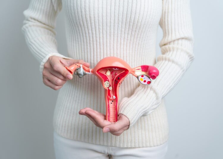 Study: How Can Selected Dietary Ingredients Influence the Development and Progression of Endometriosis? Image Credit: Jo Panuwat D/Shutterstock.com