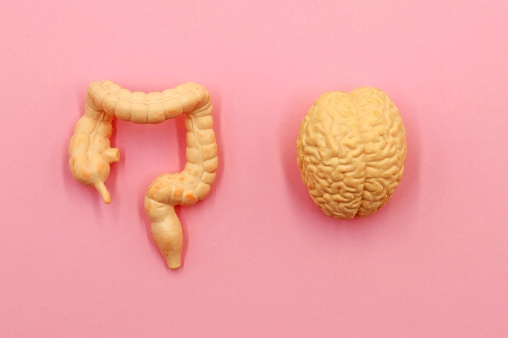 Study: Current understanding of the Alzheimer’s disease-associated microbiome and therapeutic strategies. Image Credit: TopMicrobialStock/Shutterstock.com