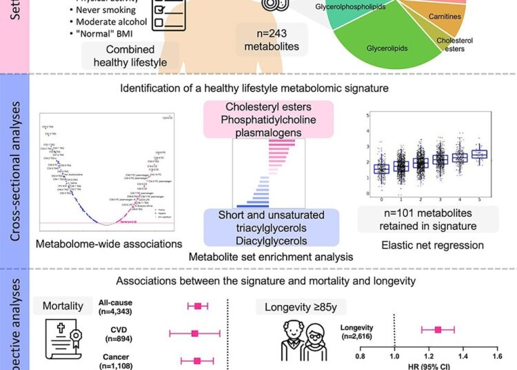 Des modes de vie sains liés à des marqueurs métaboliques spécifiques, selon une vaste étude