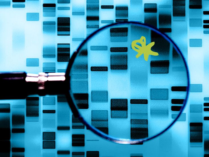 Un traitement pour les personnes présentant un risque génétique de maladie d'Alzheimer se profile-t-il à l'horizon ?