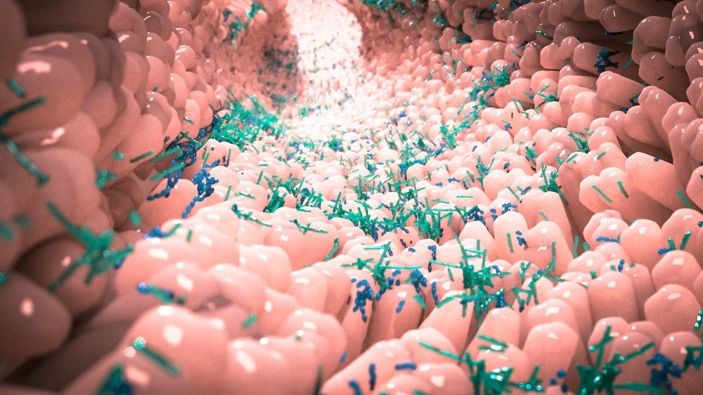 Study: ystematic identification of the role of gut microbiota in mental disorders: a TwinsUK cohort study. Image Credit: Alpha Tauri 3D Graphics/Shutterstock.com