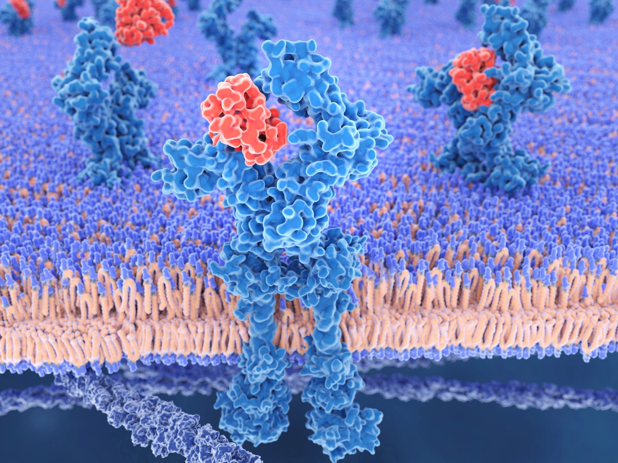 Study: IL-24 improves efficacy of CAR-T cell therapy by targeting stemness of tumor cells. Image Credit: Juan Gaertner/Shutterstock.com