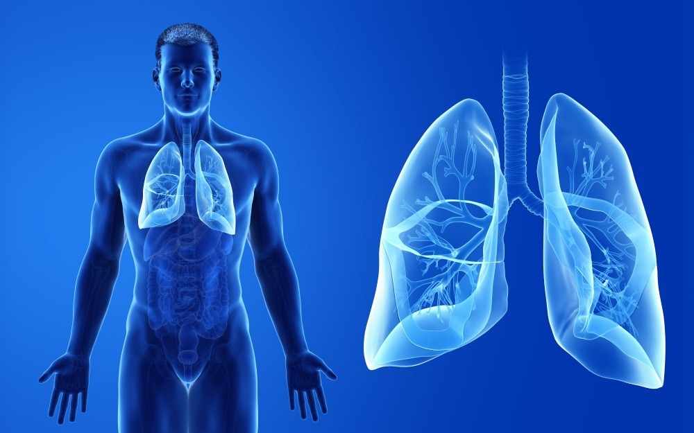 Study: Transcriptomics analysis of allergen-induced inflammatory gene expression in the Four-Core Genotype mouse model. Image Credit: SciePro/Shutterstock.com