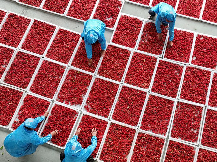 Cancer du côlon : les fruits utilisés en médecine chinoise semblent prometteurs comme traitement