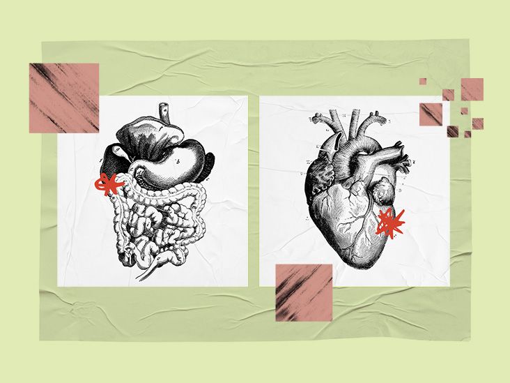 collage showing illustration of digestive system and illustration of a heart
