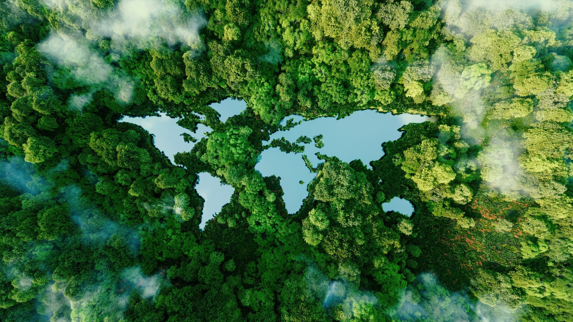 Study: Effects of climate change and human activities on vector-borne diseases. Image Credit: petrmalinak/Shutterstock.com