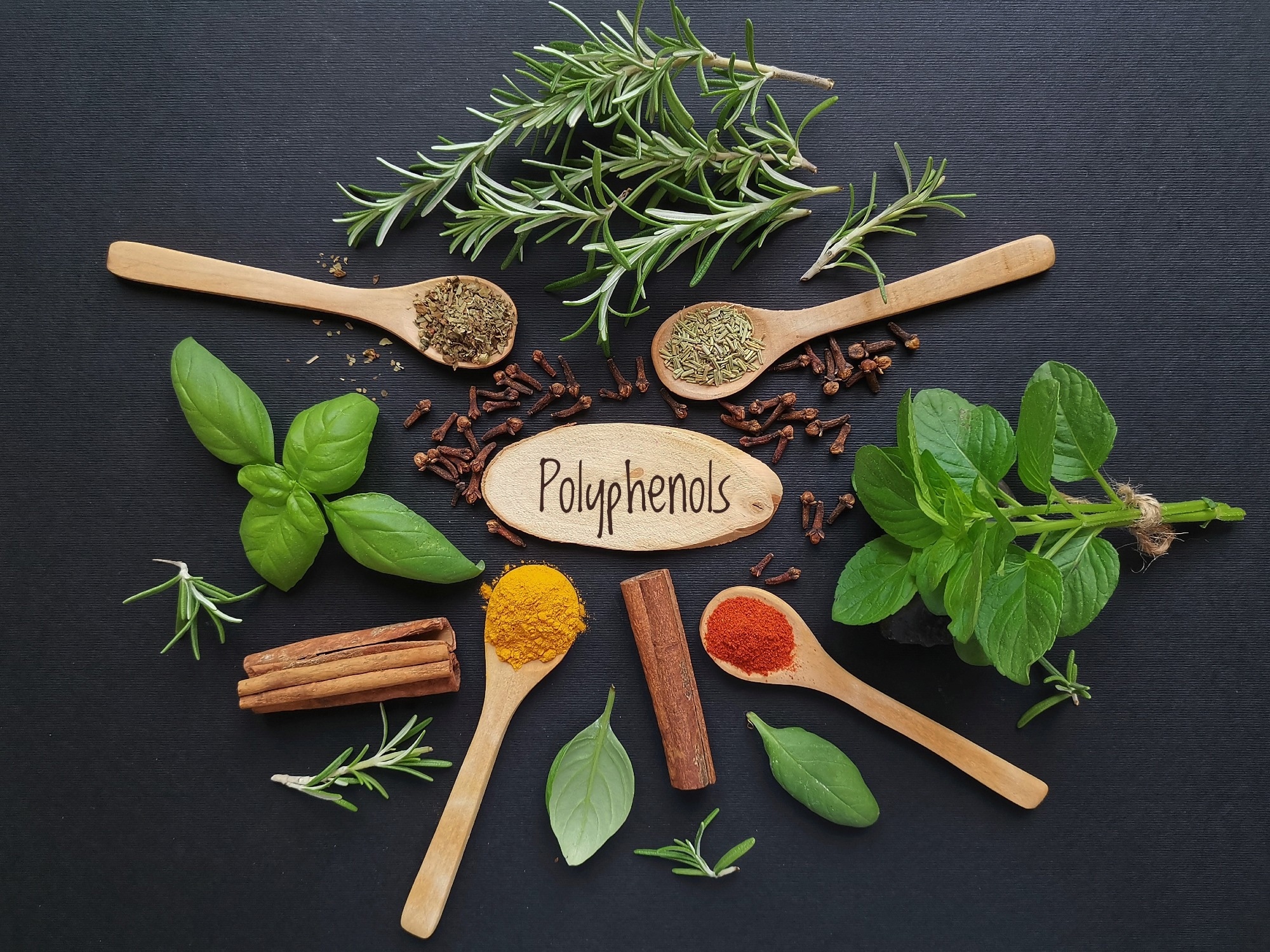 Study: Relationships between Habitual Polyphenol Consumption and Gut Microbiota in the INCLD Health Cohort. Image Credit: Danijela Maksimovic/Shutterstock.com