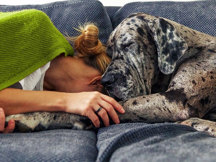 L'apnée du sommeil associée à un risque 50 % plus élevé de problèmes de mémoire
