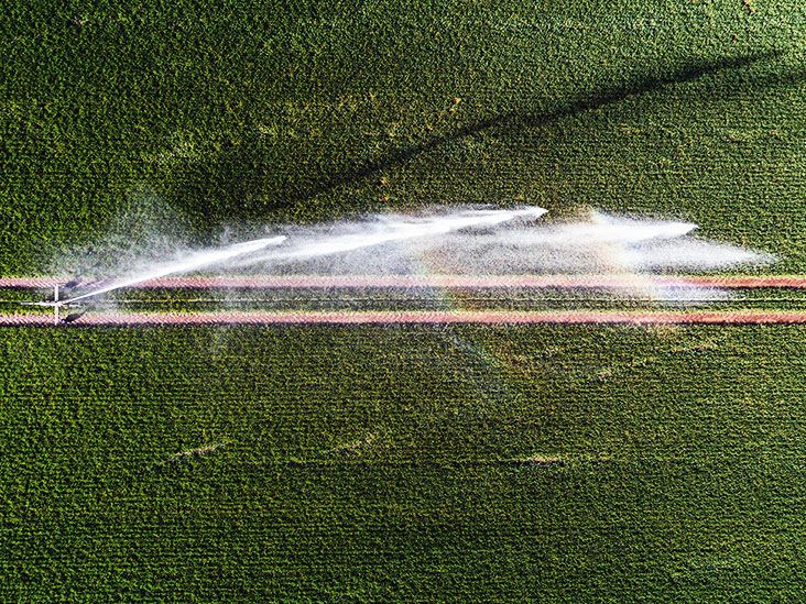 Trois autres pesticides courants sont désormais associés au risque de maladie de Parkinson