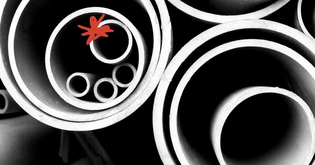 2 types de corps peuvent être liés à un risque plus élevé de cancer colorectal