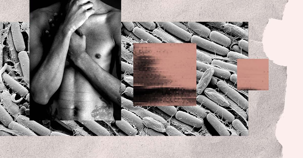 Un certain type de bactéries intestinales peut contribuer à réduire le risque de maladie cardiaque