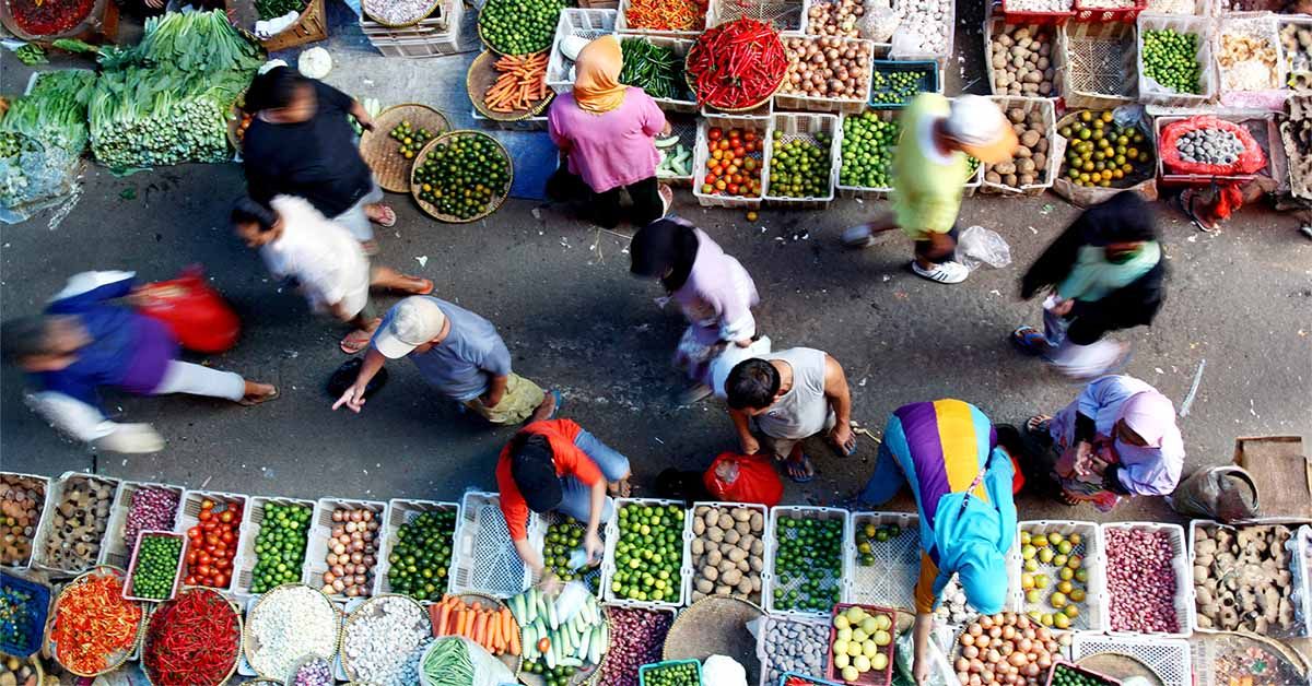 Une alimentation « équilibrée » est meilleure qu’une alimentation végétarienne pour favoriser la santé du cerveau