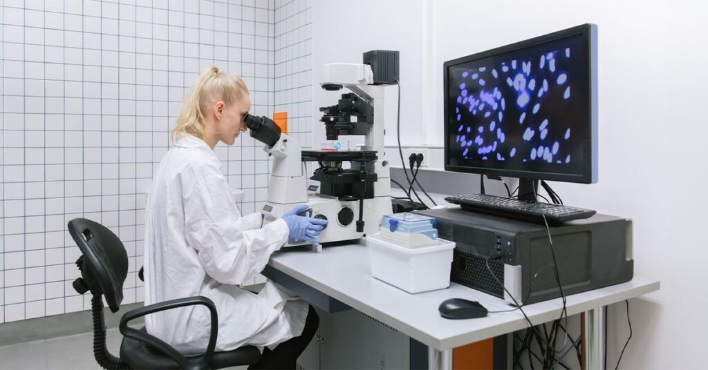 Comment les petites et grandes cellules graisseuses affectent la prise de poids et la perte de poids