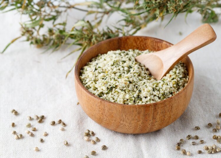 Study: Hemp seed protein and its hydrolysate vs. casein protein consumption in adults with hypertension: a double-blind crossover study. Image Credit: BartTa / Shutterstock.com