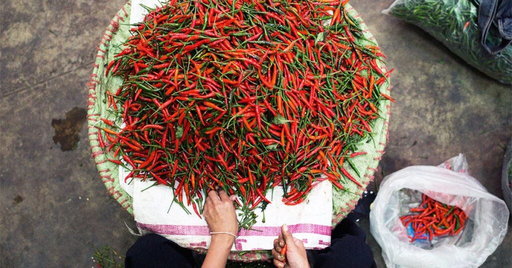 La consommation de piments peut-elle réellement augmenter le risque d’obésité ?