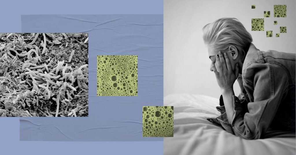 Le microbiote intestinal pourrait influencer la façon dont nous gérons le stress, selon une étude
