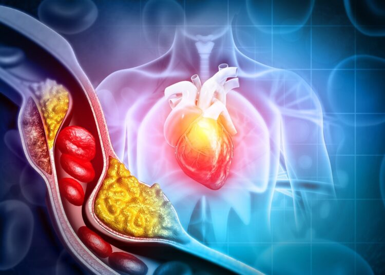 Study: Waist-to-height ratio and body fat percentage as risk factors for ischemic cardiovascular disease: a prospective cohort study from UK Biobank. Image Credit: crystal light / Shutterstock
