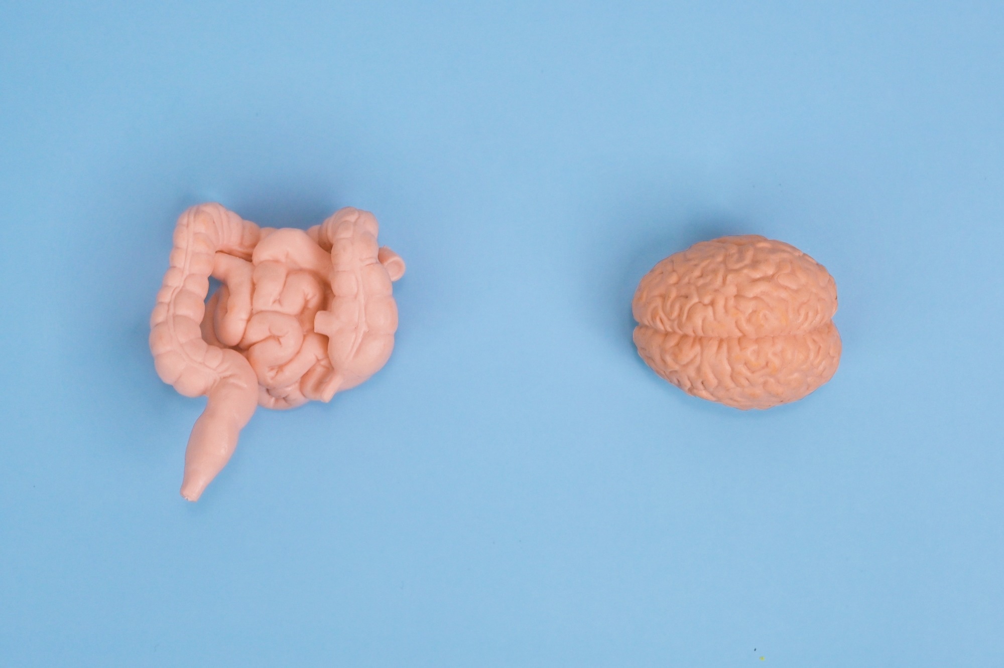 Study: Correlation between Alzheimer’s Disease and Gastrointestinal Tract Disorders. Image Credit: Joyisjoyful/Shutterstock.com